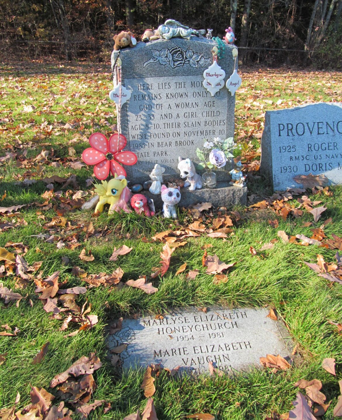 Final Victim of the Bear Brook Murders Identified Decades Later