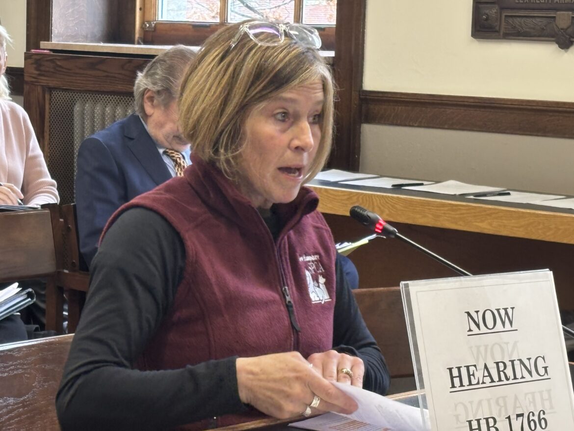 Humane Organizations Oppose Bill To Change Laws Related To Livestock Cruelty