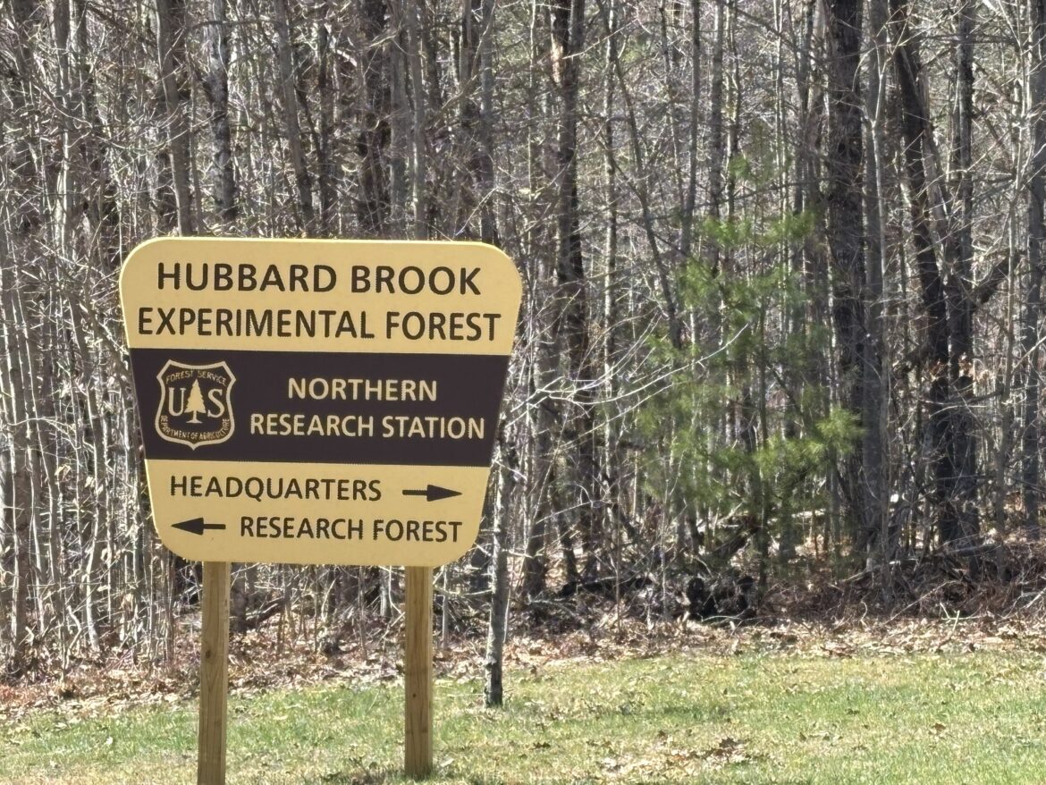 Hubbard Brook Research Forest Saved From Closing By Bipartisan Win