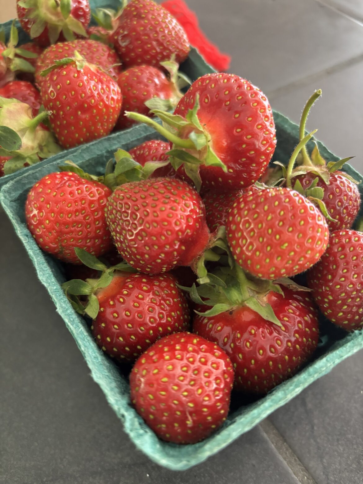 Drought in Southeast NH, But Farmers Hopeful as Strawberry Season Begins